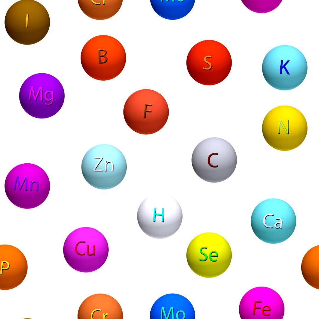 Inner Harmony Colonics 